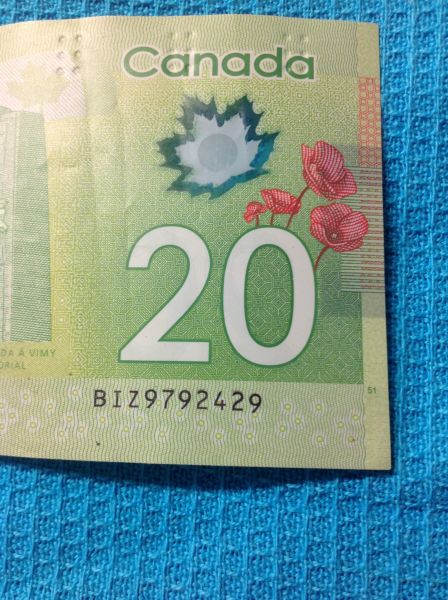 20-Dollar.-Stuck-Didget